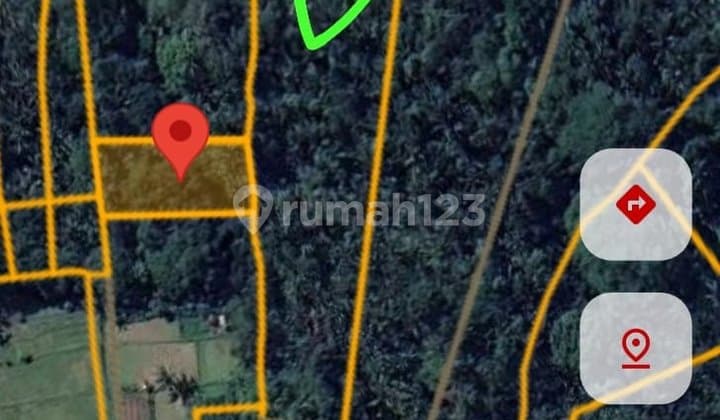Dijual Tanah Ladang Zona Kuning Berbatasan Sungai Ayung Gianyar
