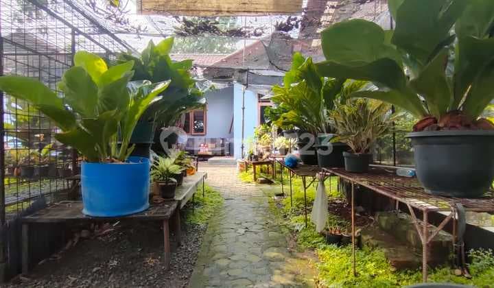 Dijual Tanah Luas Di Jatiraden Dekat Labschool Cibubur Jawa Barat