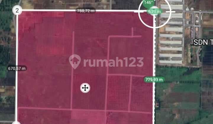 Dijual Lahan Perkebunan Luas Bagus Bentuk Kotak Subang Jawa Barat