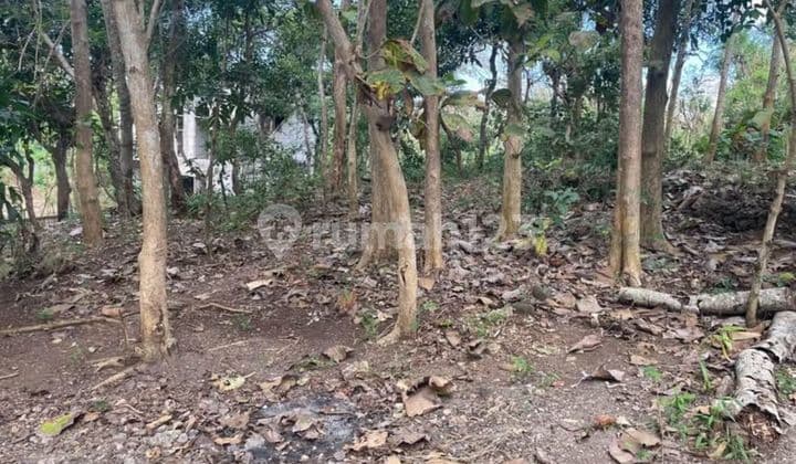 Dijual Tanah Strategis di Daerah Pariwisata Uluwatu Badung Bali