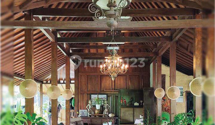 Homestay di Sukoharjo, Omah Puntuk, Sleman Jogjakarta