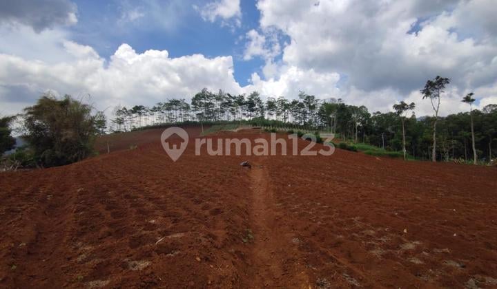 Dijual Tanah Di Mandala Mekar Jatihandap Bandung