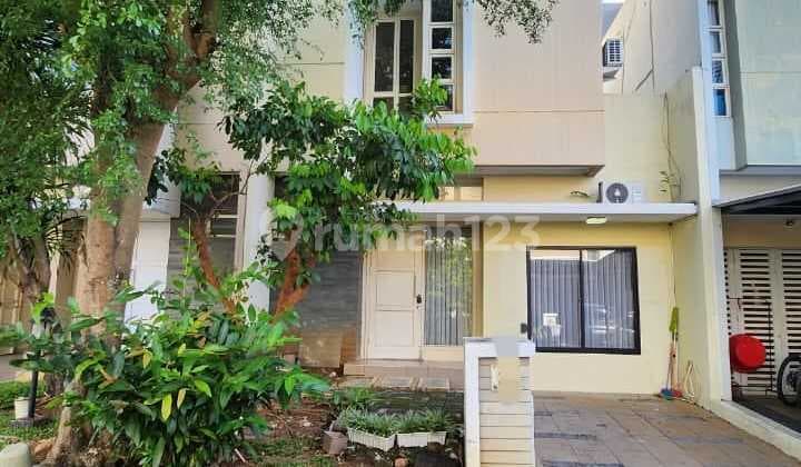 Disewakan Cepat Rumah Canary The Spring Gading Serpong