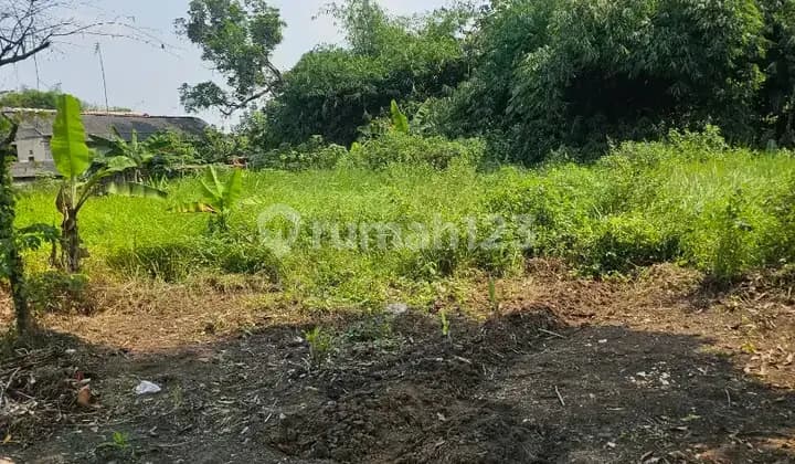 Lahan Di Pasirbuyut Jawilan Kabupaten Serang