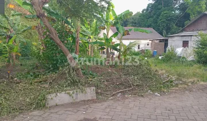 Tanah Di Kp. Cipayaeun, Desa Tegalsari Tigaraksa