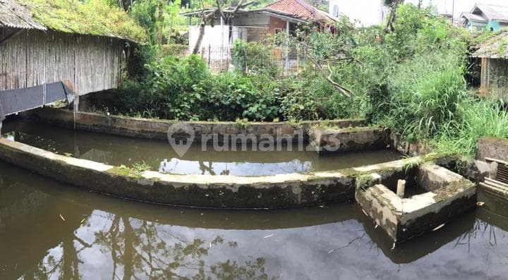 Tanah, 1 Lantai, di Cisarua,