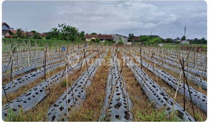 Dijual.tanah Strategis Cck.untuk Perumahan. Dikota Bogor.harga Murah Tanah di Laladon SHM 2344.0 M²