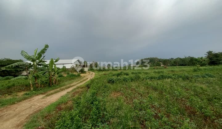 Tanah kebun dibogor cocok buat tempat istirahat