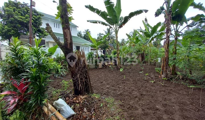 Kavling Siap Bangun Dijual Cepat di Ciomas Bogor