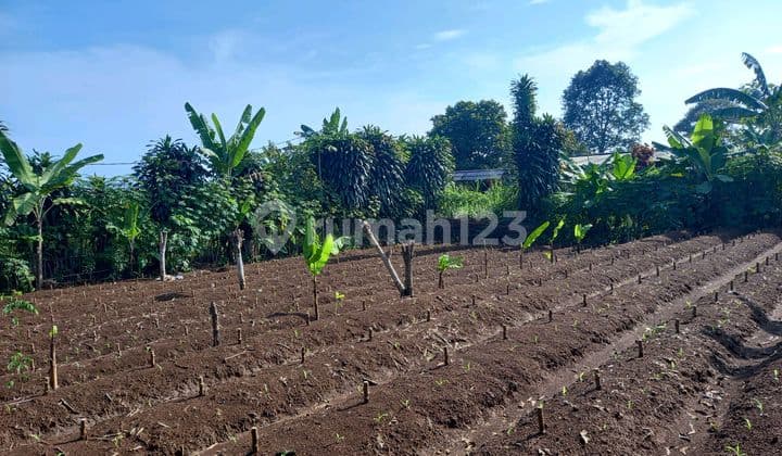 Ready-to-Build Plot for Sale, Quick Sale in GSA Bogor Housing Estate.