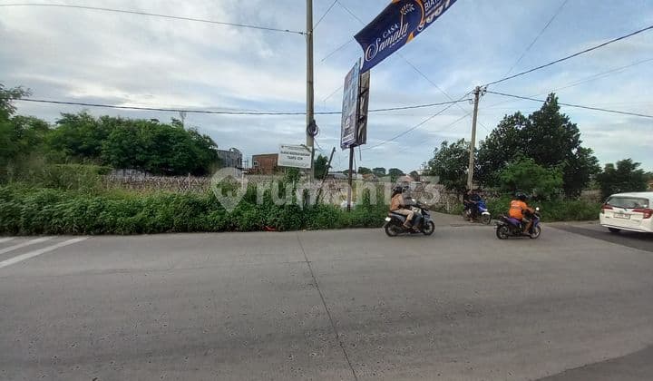 Tanah Disewakan Di Jalan Raya Dramaga Bogor Cocok Buat Usaha