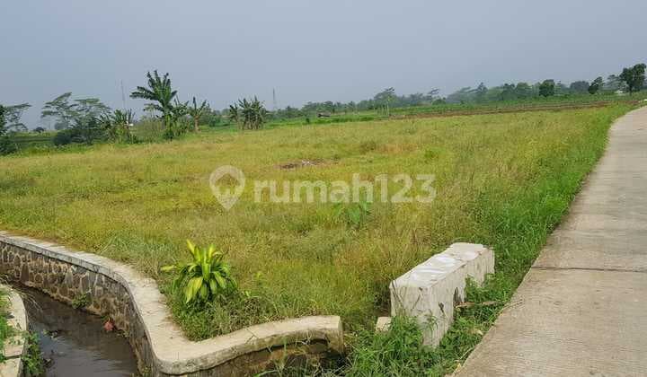 Land by the Village Road for Quick Sale in Bogor