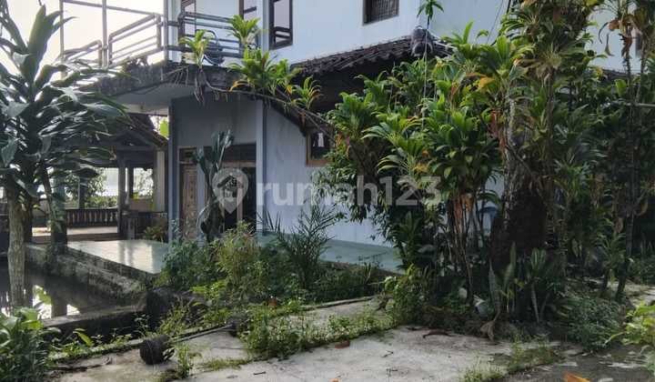 Dijual Rumah Super Luas, Bonus Kolam Ikan Di Ciampea