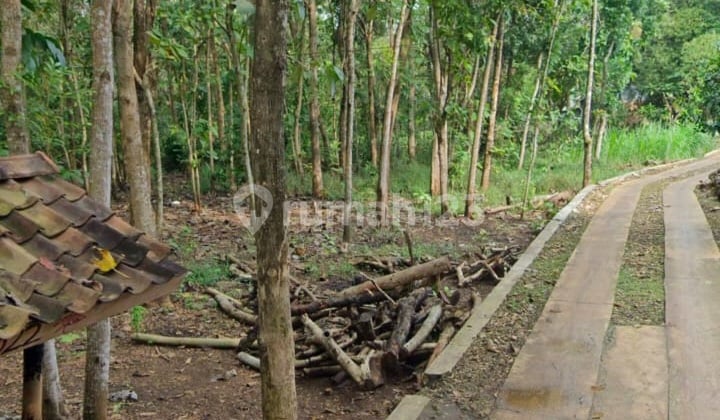 Dijual Tanah Luas 1.809 M² SHM di Paliyan Gunung Kidul - Dekat Wisata, Cocok Rumah, Homestay atau Cafe