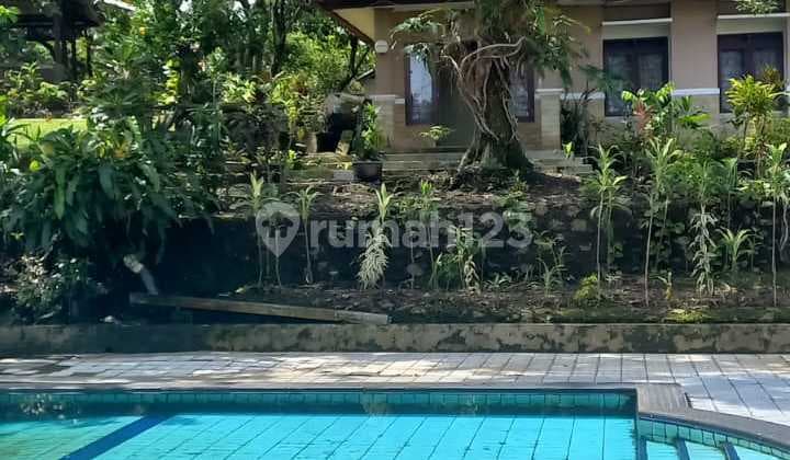 Dijual Villa Luas 2.945 M2, SHM Dekat Pusat Perbelanjaan di Ciomas Bogor