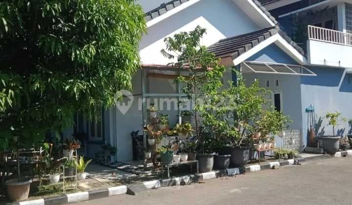 Dijual Rumah Siap Huni 2 Lantai Dekat Terminal Laladon di Town House Prima Indah