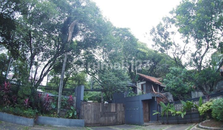 Rumah Resort Cocok Untung Usaha atau Cafe Siap Huni di Cilandak Jakarta Selatan
