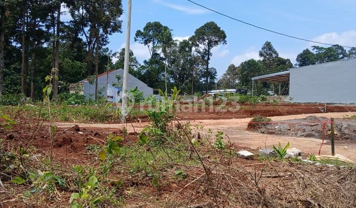 Tanah Kavling Murah Dicepoko dengan DP Mulai 50 Juta