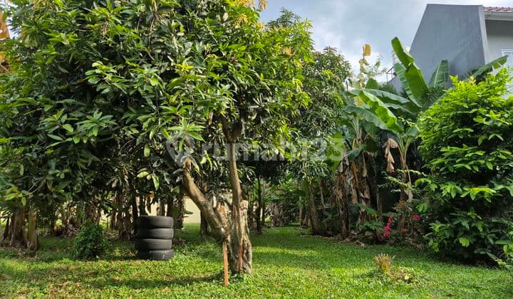 Magnolia plot, prime location, rarely sold north-facing.