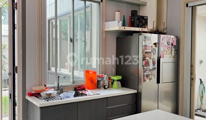 Palma Renovation House