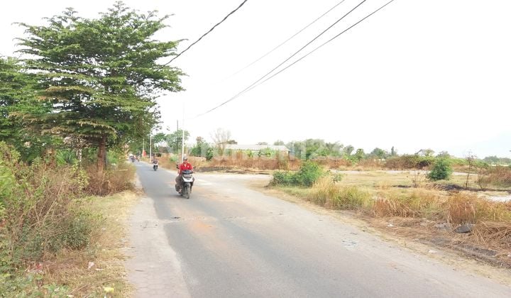 Tanah Strategis Di Kabupaten Mojokerto Cocok Buat Gudang & Pabrik
