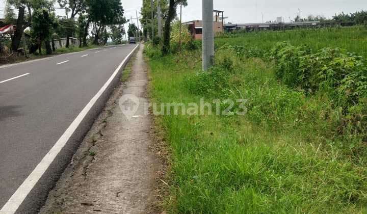 Tanah Strategis 0 Jalan Raya Mantup Lamongan Cocok Buat Bisnis