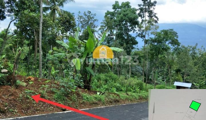 Jual Tanah di Blotongan 456 m² SHM dekat UKSW
