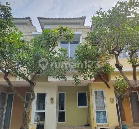 Dijual Rumah dua lantai Compact Virginia lingkungan asri harga terjangkau di gading serpong dekat mall sumarecon serpong, sekolah dan fasilitas umum