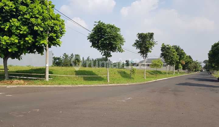 Tanah Budi Indah Mainroad Rp 9 Jt Per Meter