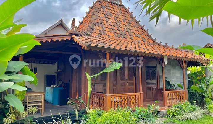 Villa Ubud, Gianyar Bali