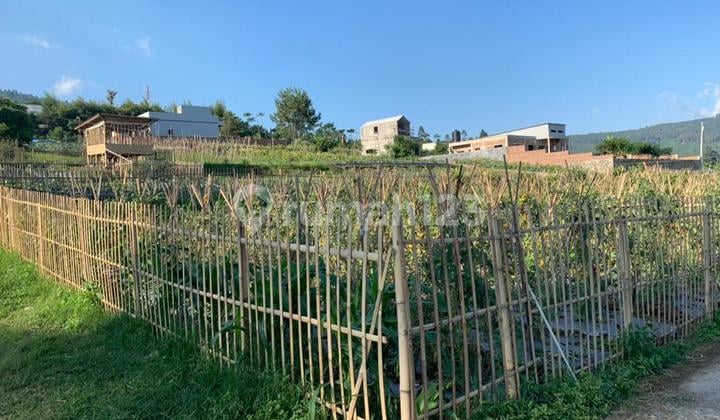 Harga Murah Tanah Lembang, 10 Menit Dari Resto Mandarin