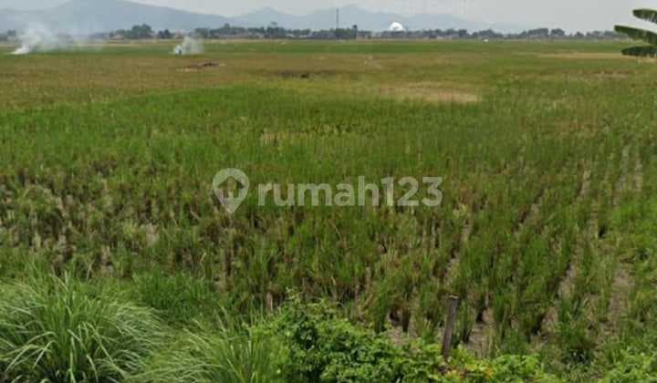 Tanah Solokan Jeruk, Majalaya