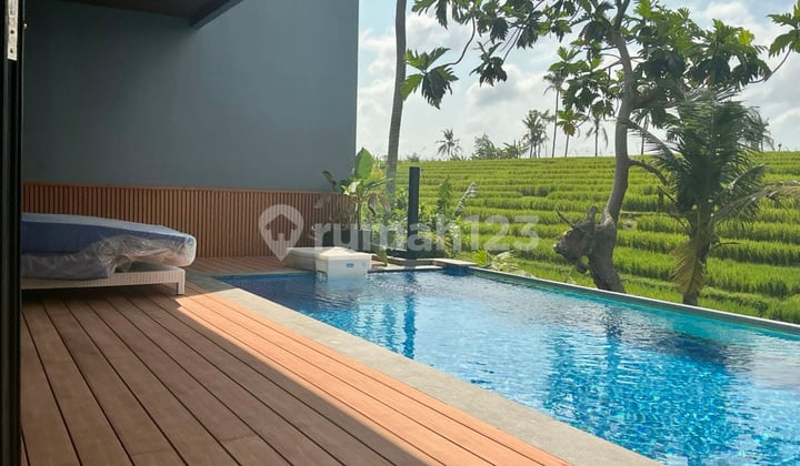 Best Ricefields View Villa Canggu With Infinity Pool
