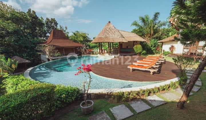 Villa Mewah Canggu Taman Luas Ricefields View