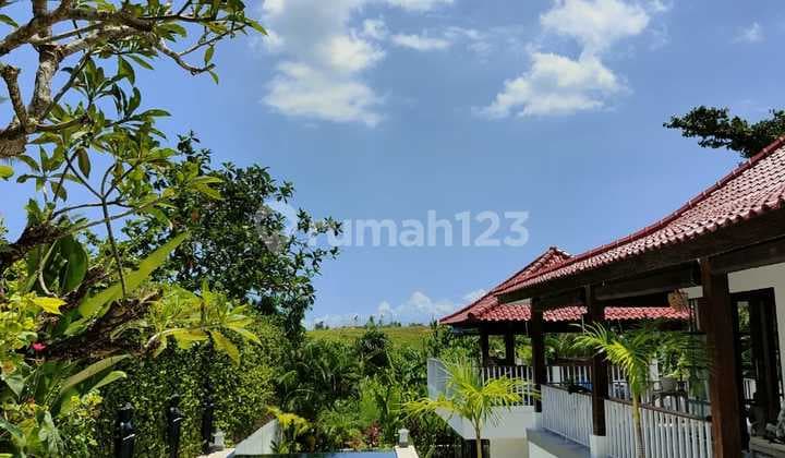 Luxury Large 3 Bedrooms Villa In Pererenan Canggu