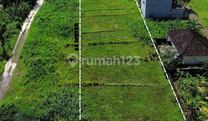 Tanah Luas 1980M² Akses Jalan 6 Meter Dekat Rs Kasih Ibu Tabanan