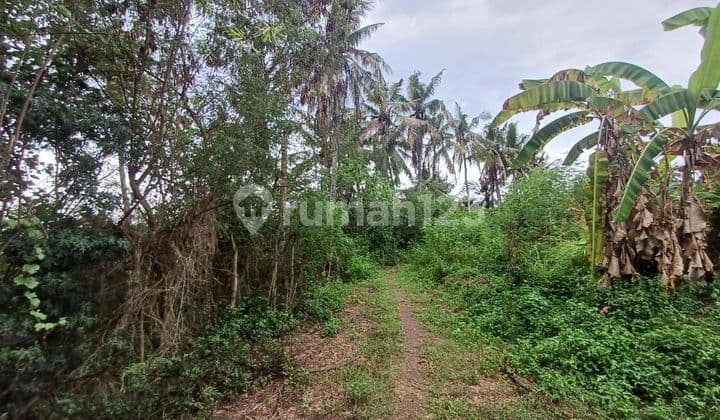 TANAH VIEW SAWAH DAN LAUT MEDAHAN DI KERAMAS GIANYAR