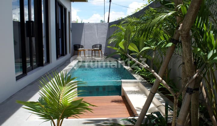 New Modern Full Villa Padonan Canggu Rooftop Pool Freehold