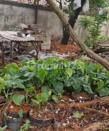 Tanah Kavling di Kebon Jeruk Jakarta Barat