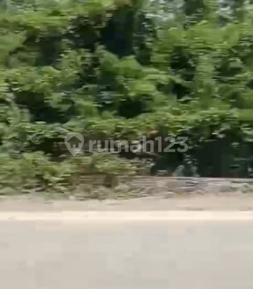 Tanah Kavling di Sigit Curug Tangerang Tanah Kavling di Sigit Curug Tangerang