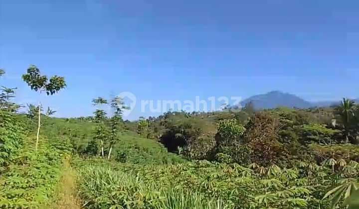 Dijual Tanah Murah dibawah Harga 100rb, Parung Kuda Sukabumi