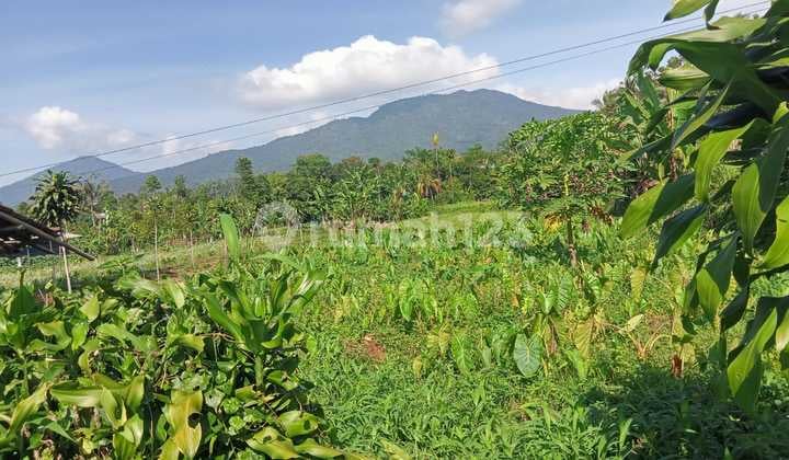 Tanah Dijual Murah di Ciambar Sukabumi, View Gunung Salak