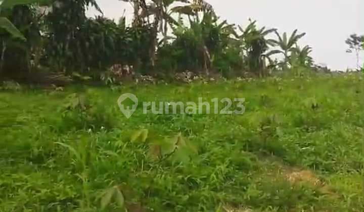 Dijual Tanah Murah dibawah 100Ribu Parakan Salak Sukabumi