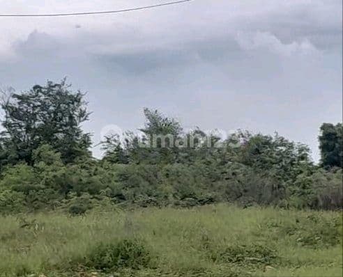 For Sale 14ha Land on Jalan Raya Manyar Gresik