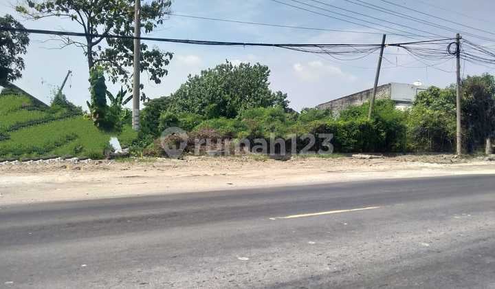 Affordable Industrial Land on Bungah Main Road Gresik Near Jiipe