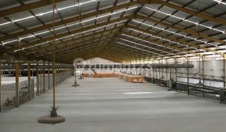 Super Cheap Ma'am, Wood Factory for Sale on Cerme Gresik Main Road.