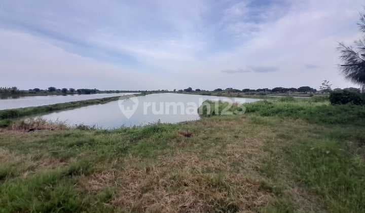 Land for Sale Cheap at 0 Bungah Main Road, Manyar, Gresik