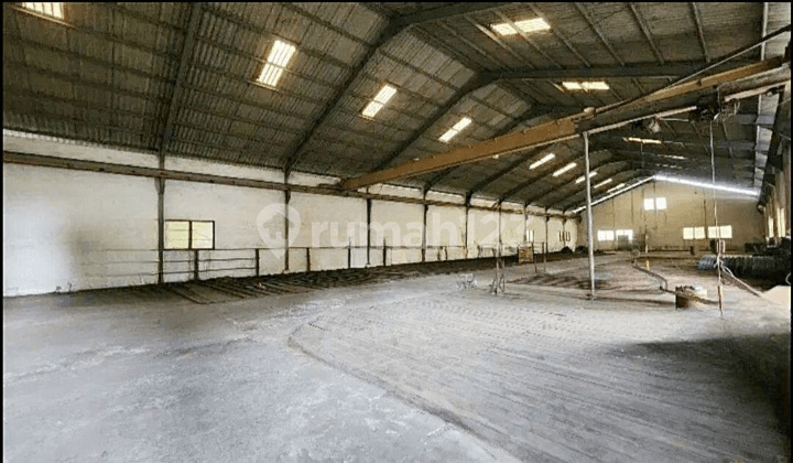 Very Cheap Ex-Factory Sale, Jl Raya Kletek, Sidoarjo Land Area.