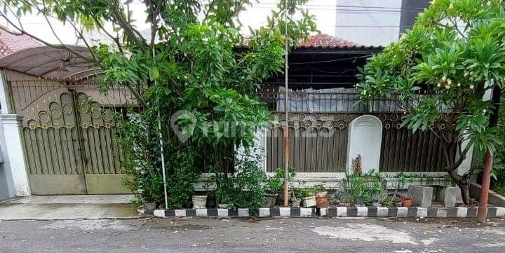 Murah Dijual Rumah Hitung Tanah Di Jalan Manyar Kertoarjo