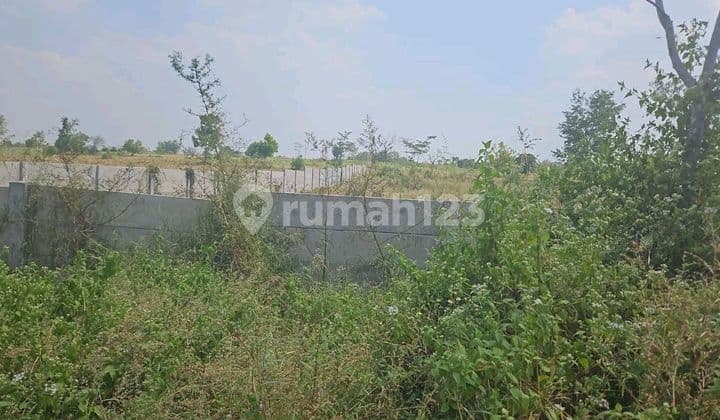 Rare Cheap Sale Industrial Area Land Jiipe Manyar Gresik